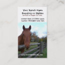 Suche nach gelding Reiter