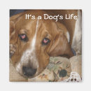 Suche nach hunde humor magnete Welpe