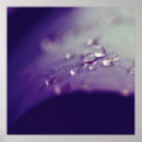 Suche nach dewdrops Grün