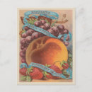 Suche nach vintage erdbeeren postkarten Nahrung