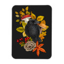 Suche nach raben magnete Rückgang