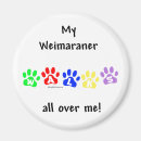 Suche nach weimaraner magnete Grau