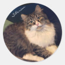 Suche nach katzengeschenke aufkleber Jede person