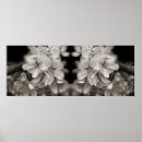 Suche nach schwarze federn poster Natur