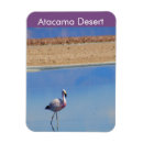 Suche nach atacama magnete Chile