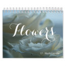Suche nach kleine kalender Blume