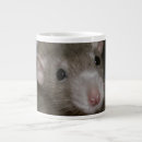 Suche nach große ohren tassen Niedlich