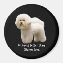 Suche nach bichons magnete Hund