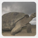 Suche nach galapagos aufkleber Reptil