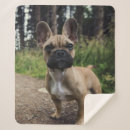 Suche nach bulldoggen decken Franchise