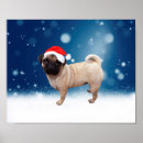 Suche nach niedlicher mops poster Jede person