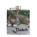 Suche nach katzen flachmänner Haustier