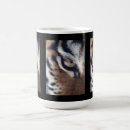 Suche nach tigerauge Streifen