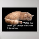 Suche nach lustige slogans poster Katzen