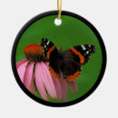 Suche nach insekten ornamente Sommer