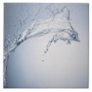 Suche nach spritzen fliesen Wasser