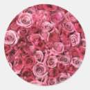 Suche nach knospen aufkleber Blume