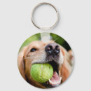 Suche nach golden retriever schlüsselanhänger Niedlich