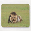 Suche nach männlicher löwe mousepads Horizontal