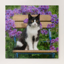Suche nach katzen puzzle Für sie