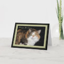 Suche nach katzen liebe karten Jede person