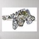 Suche nach pardus poster Gesicht
