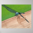 Suche nach libelle poster Jede person