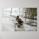 Suche nach duck poster Jede person