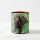 Suche nach schokoladen labrador tassen Kaffee