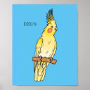 Suche nach cockatiel poster Vogelvogel