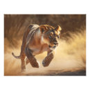 Suche nach löwe und löwin poster Katze