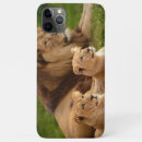 Suche nach löwe iphone hüllen König des dschungels