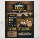 Suche nach eier flyer Bauernhof