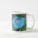 Suche nach morning glory tassen Blume