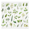 Suche nach herbarium poster Natur