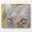 Suche nach große katze mousepads Löwe