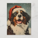 Suche nach hundeschlitten postkarten Berner hund