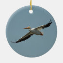 Suche nach pelikan ornamente Wild