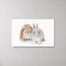 Suche nach zwerg kunst Kaninchen
