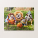 Suche nach bulldoggen puzzle Lustig