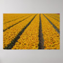 Suche nach landwirtschaft poster Tourismus