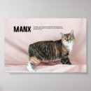 Suche nach manx kunst Katzen