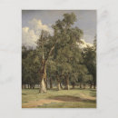 Suche nach elm postkarten Baum