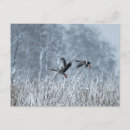 Suche nach schneebedeckte landschaft postkarten Winter