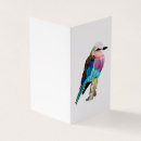 Suche nach breasted karten Aquarell