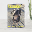 Suche nach hundeliebe postkarten Spaß