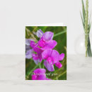 Suche nach lila orchidee karten Blumenreich