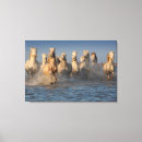 Suche nach weißer sand leinwandbilder Strand