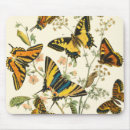 Suche nach raupen mousepads Natur