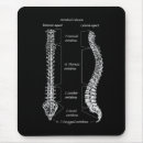 Suche nach menschliches skelett mousepads Rückgrat